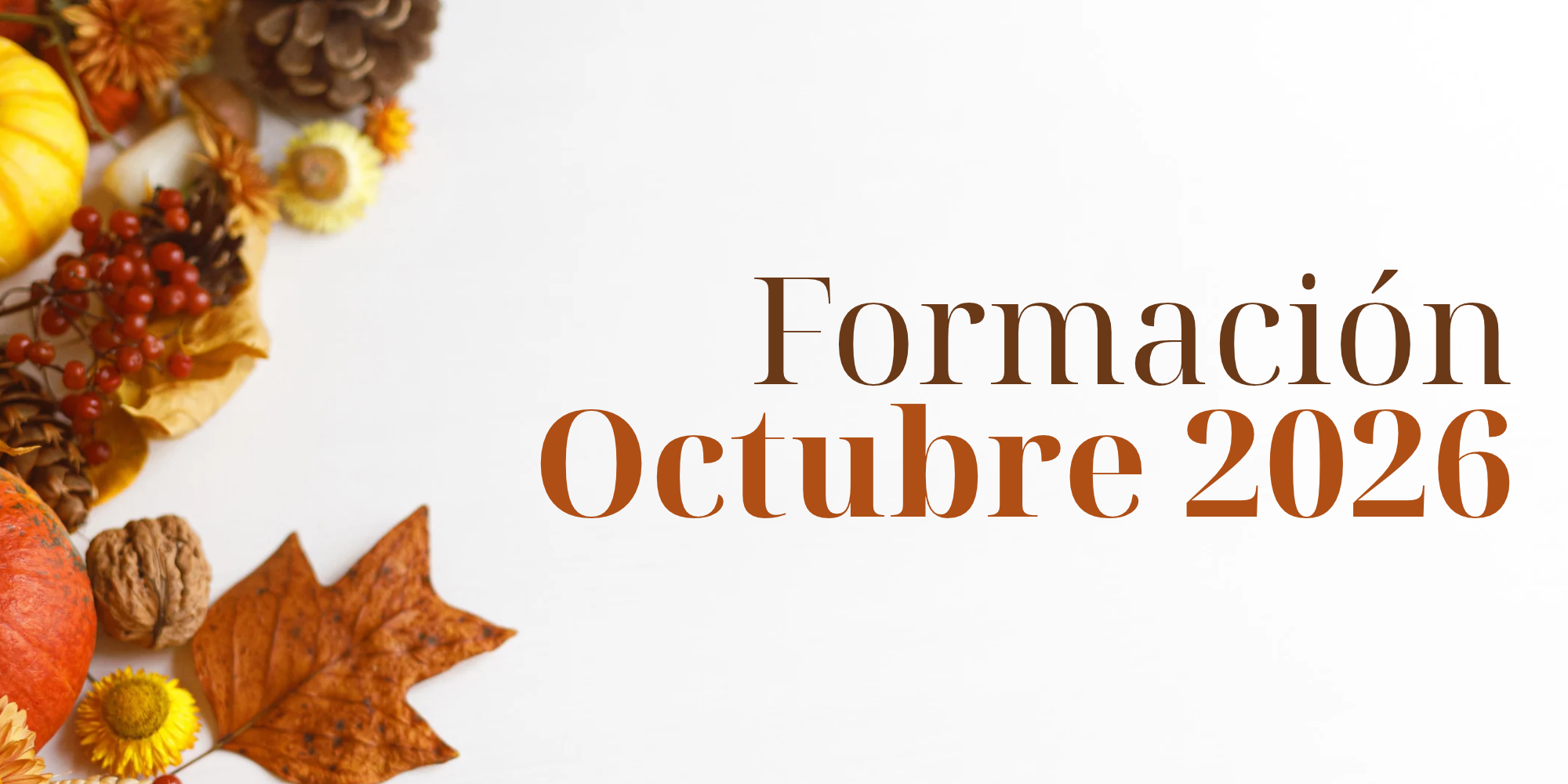 Programación formativa: octubre 2026
