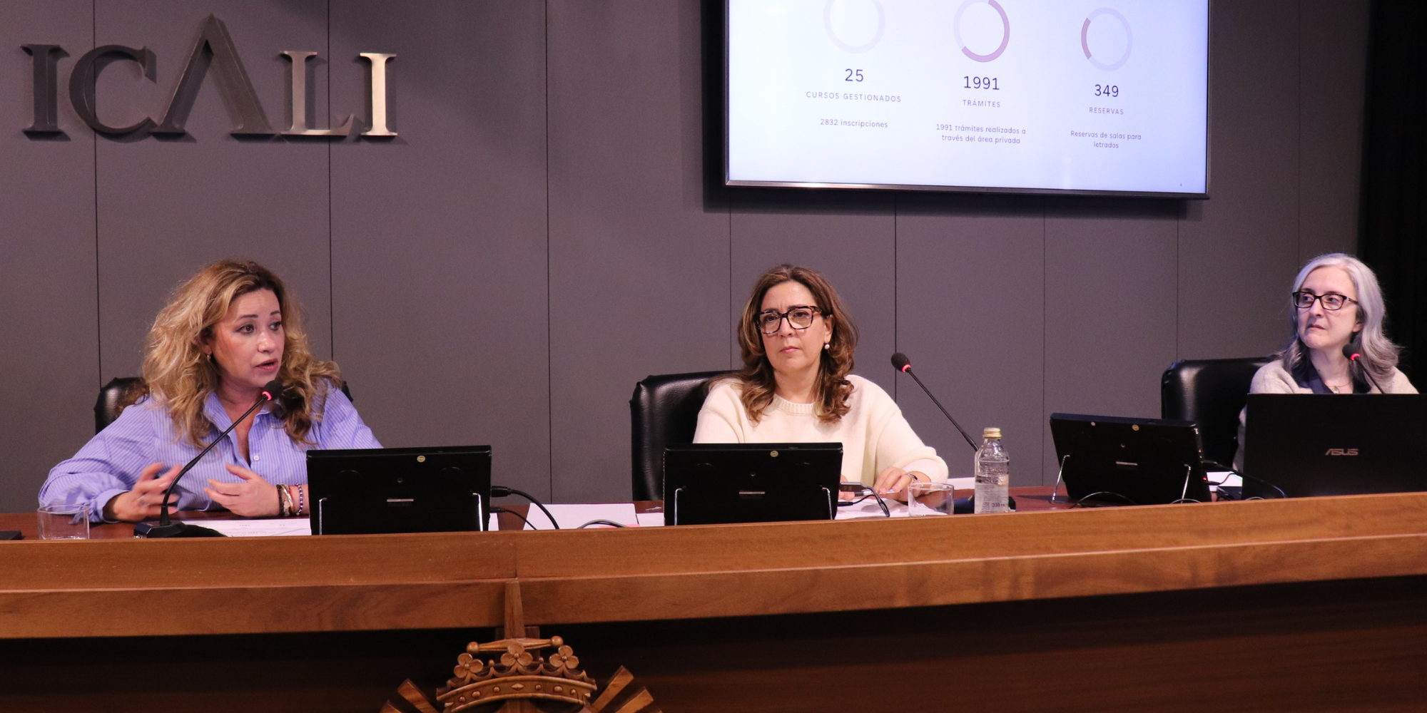 Más de un centenar de colegiados participan en la jornada formativa sobre la Sede Electrónica y el Área Privada del ICALI