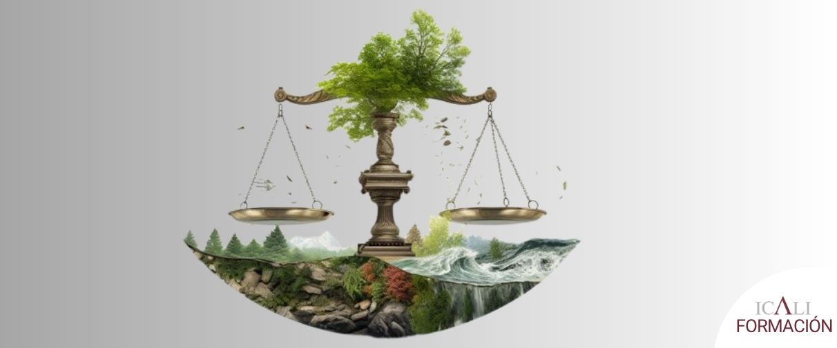 Jornada presentación de la Sección de Abogados/as Especialistas en Medioambiente del ICALI