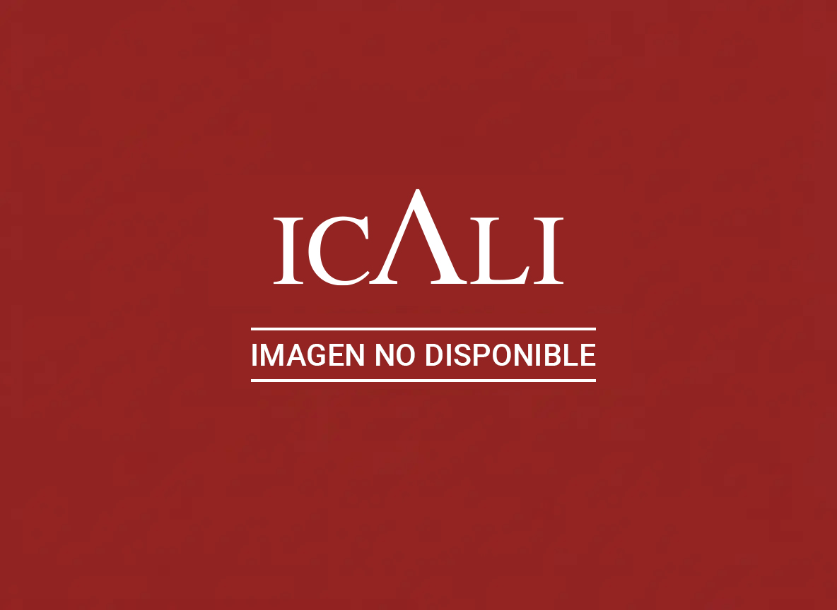 Fallo de los Premios ICALI 2017